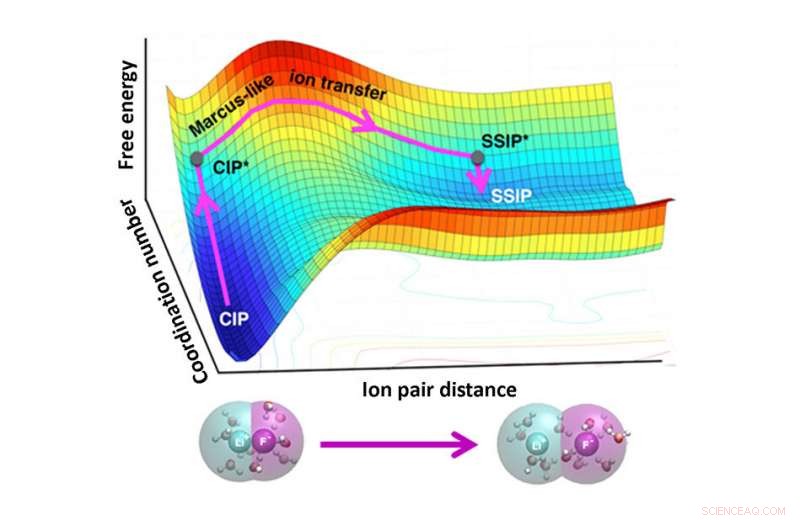How Water Facilitates Ion Separation in Advanced Material Synthesis: An Elegant Theoretical Insight