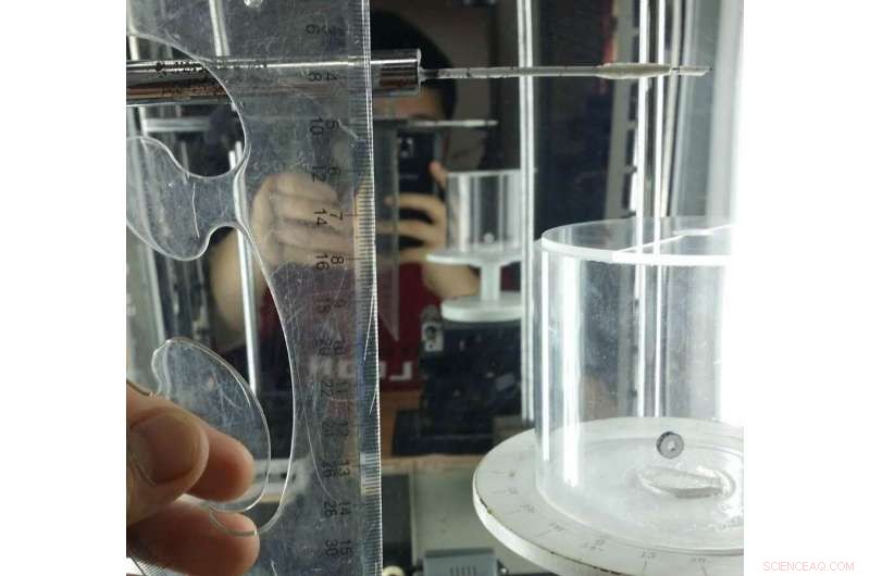 Spider Silk: A Strong, Lightweight Material for Future Robotic Muscles