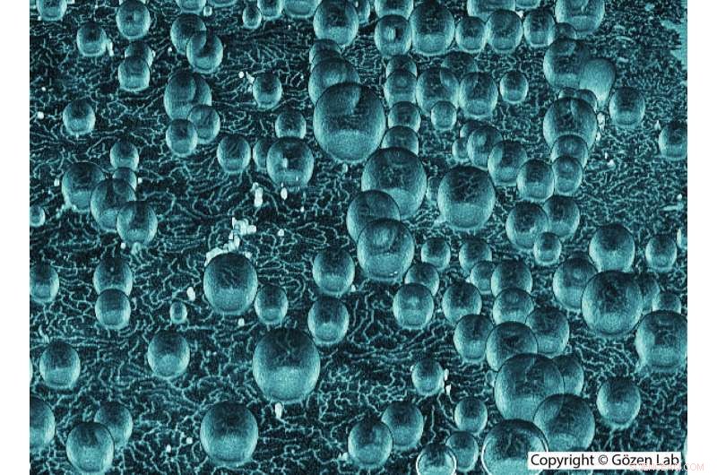 Scientists Reveal How Surface Chemistry Sparked Life’s First Steps on Earth