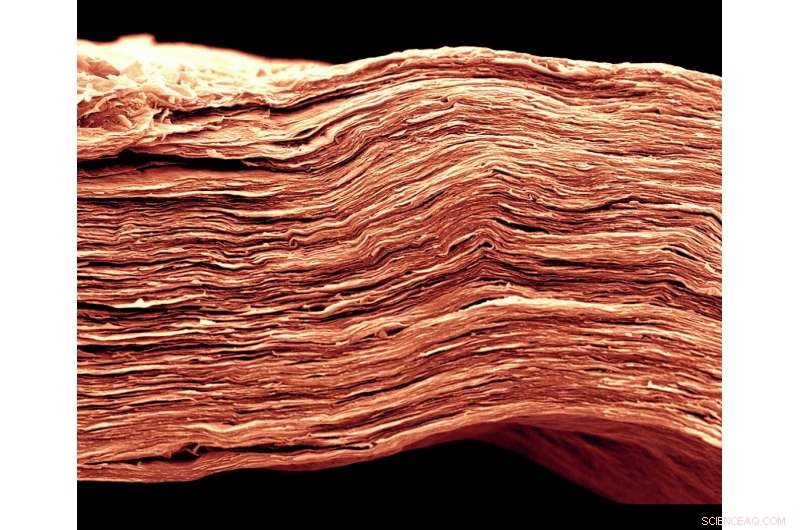 Optimized Electrolyte Doubles Energy Storage in Cutting-Edge 2D Materials