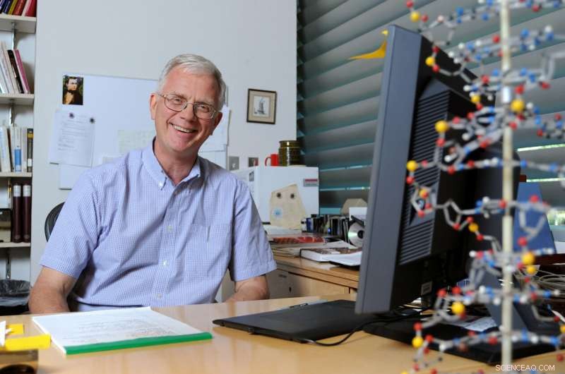 Investigating Charge Transport in Proteins: Insights from Single‑Molecule Biophysics