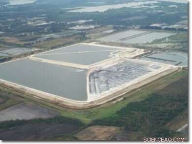 New Discovery: Phosphate Rock Waste Offers Promising Source of Rare Earth Elements