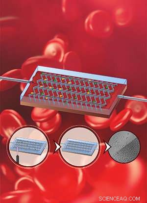 Breakthrough in Cell Isolation Paves Way for Advanced Cancer Treatments