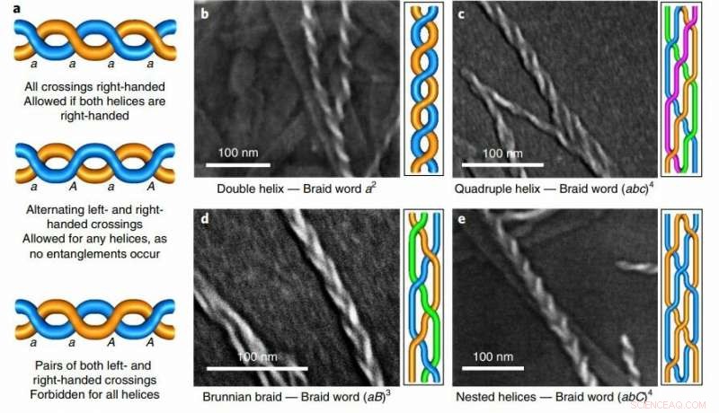 Protein Chains Naturally Form Helical Braids