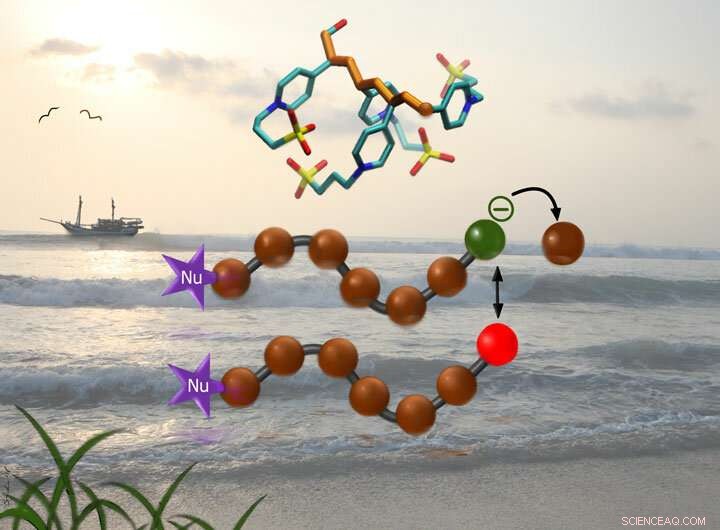 Efficient, Non‑Toxic Polymer Coatings for Biofouling Prevention