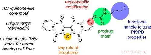 Seawater Bacteria Unveils Promising New Approach to Treat Melanoma