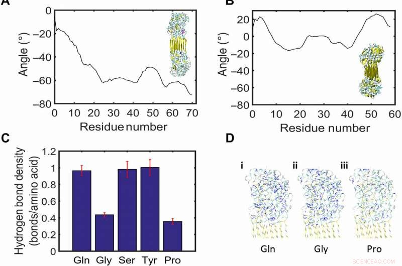 Spider Silk Torsional Actuator: Humidity‑Driven Artificial Muscle