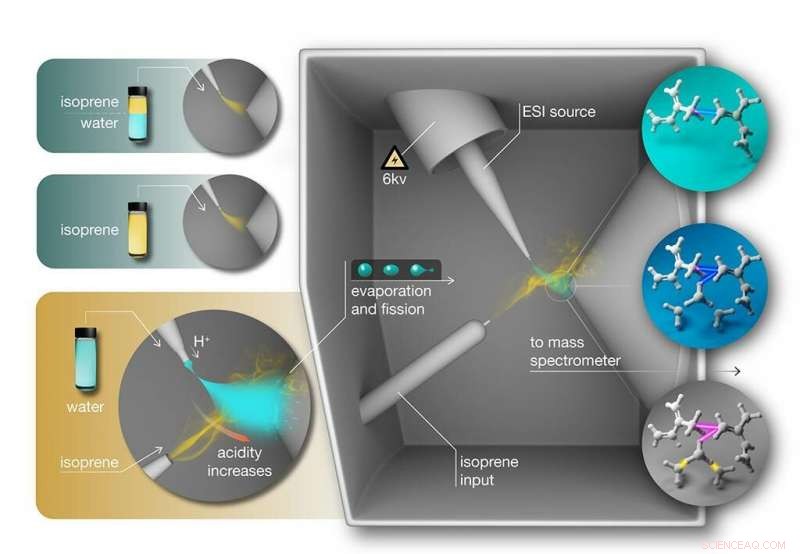 Probing the Skin of Water: Cutting-Edge Surface Analysis