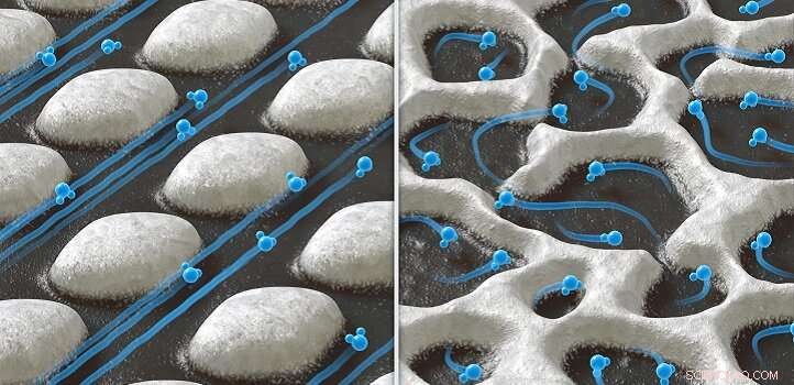 Harnessing Nanohighways for Efficient Water Transport