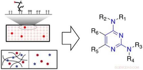 How Mucus Interacts with Drugs, Toxins, and Microbes
