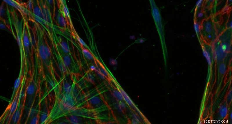 Microfluidic Chip Reduces Radiotherapy Side Effects