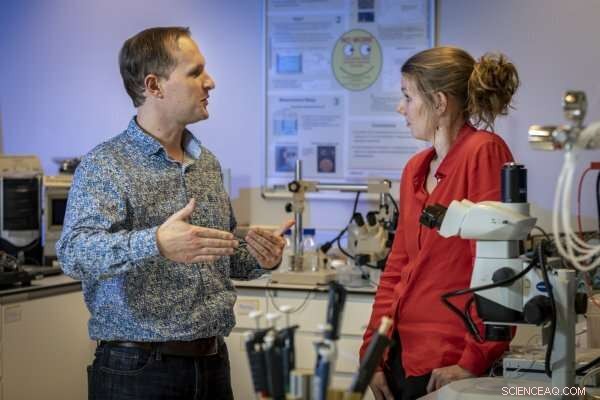 Miniaturized Neuroprobe Enables Precise Sampling of Brain Neurotransmitters