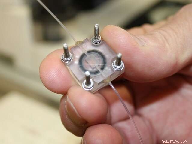 Effective Techniques for Growing Large Protein Crystals in Neutron Crystallography