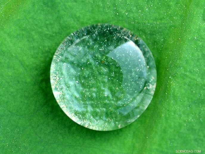 Antibacterial Metals Inspired by Nature: A Breakthrough in Material Science