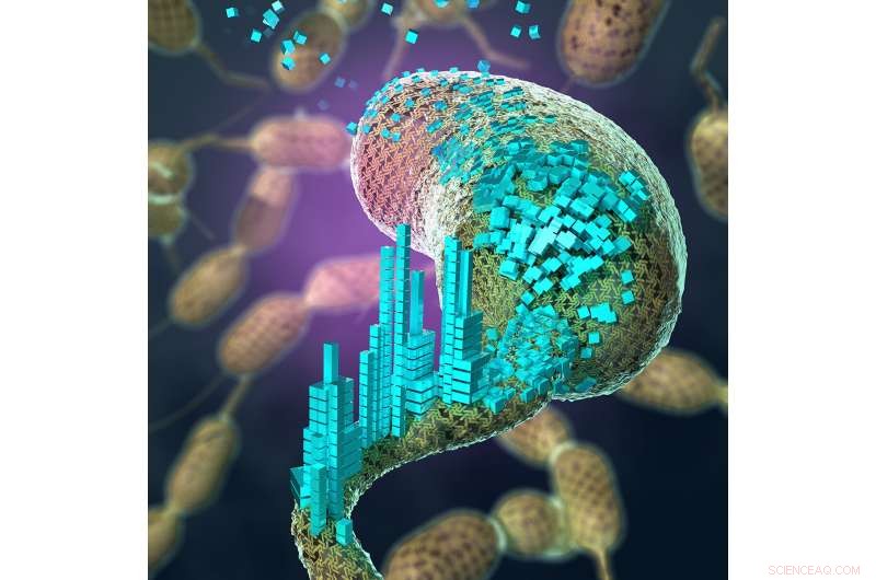 Engineering Living Scaffolds to Build Advanced Building Materials