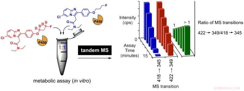 Innovative Screening Technique Validates Deuteration’s Role in Enhancing Metabolic Stability