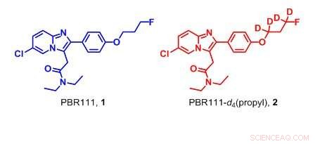 Innovative Screening Technique Validates Deuteration’s Role in Enhancing Metabolic Stability
