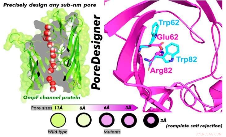 PoreDesigner Enhances Protein Channel Design for Advanced Water Treatment & Bioseparations