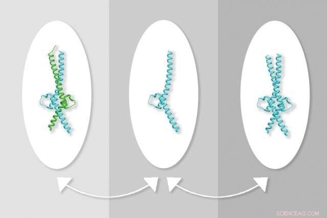 MIT Breakthrough: Targeting Myc‑Max Protein Complex to Overcome Hard‑to‑Treat Cancers