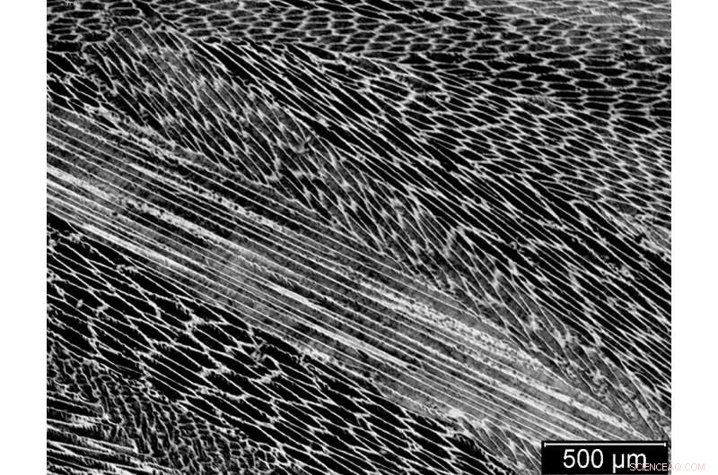Purdue s Copper‑Manganese Alloy: A Cost‑Effective Innovation for Plumbing and Manufacturing
