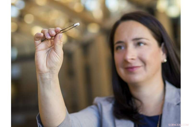 Plant-Derived Cellulose Aerogels: Revolutionizing Bone Implant Technology