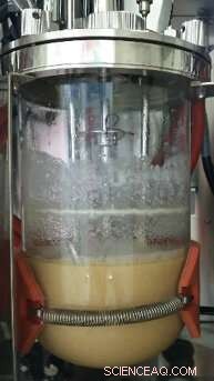 Eco‑Friendly Production of Xylitol & Cellulose Nanofibers from Paper Paste – A Path to Sustainable Society