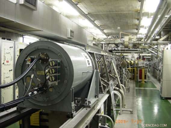 Osaka University Uses Electron Accelerators to Unlock Antioxidant Secrets