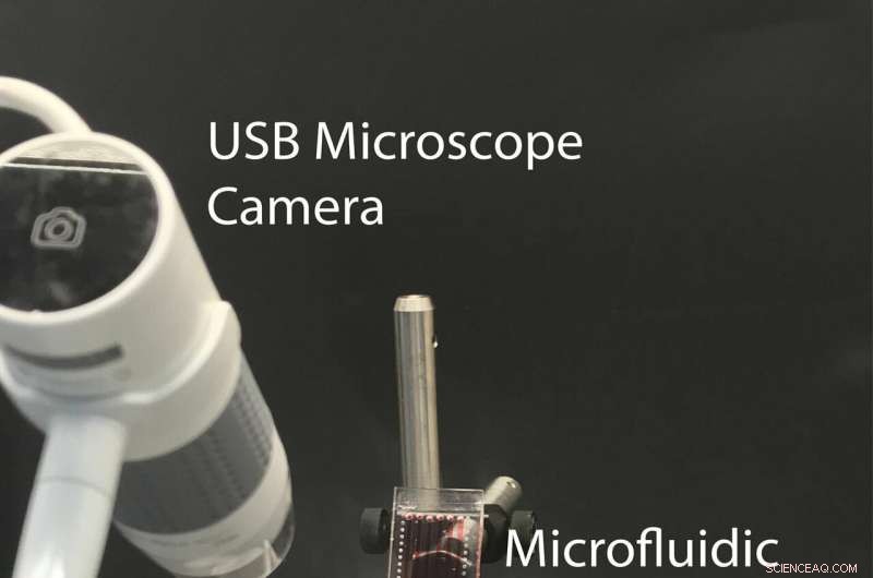 Spotting Fake Food and Drugs: A Cutting-Edge Liquid Nitrogen Test