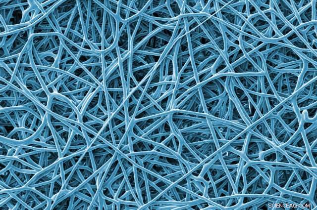 New Fiber Membrane Efficiently Separates Oil from Water, Advancing Environmental Cleanup