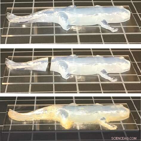 Revolutionary Dynamic Hydrogel Enables Soft Robotics and LEGO-Style Building Blocks