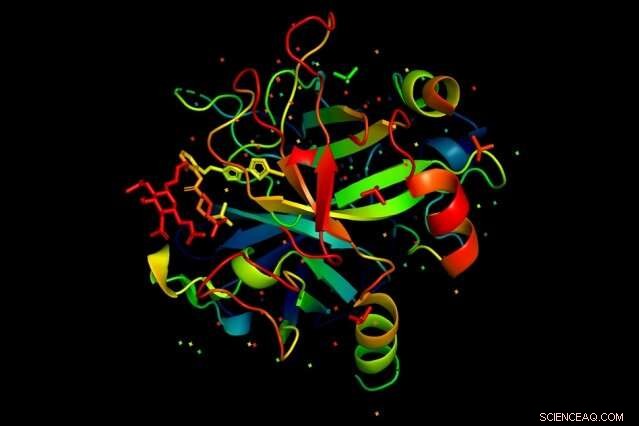 MIT Model Deciphers How Single Amino Acids Shape Protein Function