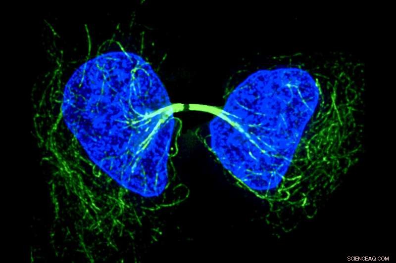 Advanced Tool Enables Scientists to Observe Elusive Protein Dynamics in Real Time