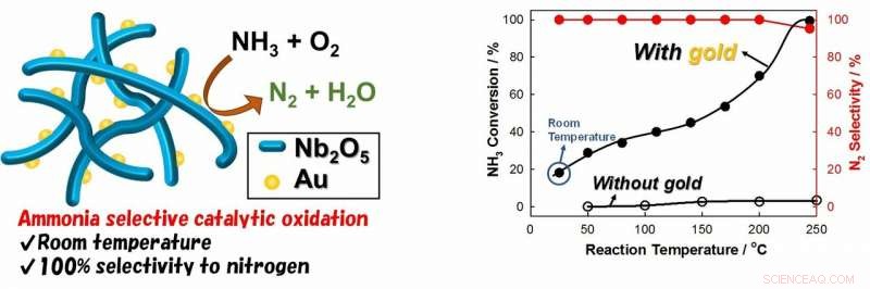 Room‑Temperature Gold Nanoparticle Catalyst Boosts Air Purification Efficiency