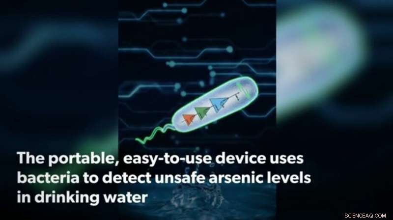 New Smartphone-Enabled Biosensor Detects Arsenic, Safeguarding Millions of Lives