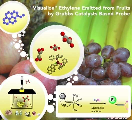 Precise Detection of Ethylene: The Key Hormone in Fruit Ripening