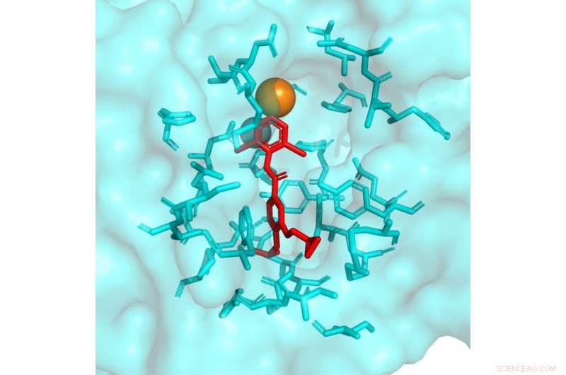 University of New Hampshire Breaks Ground on New Roundworm Control Strategy