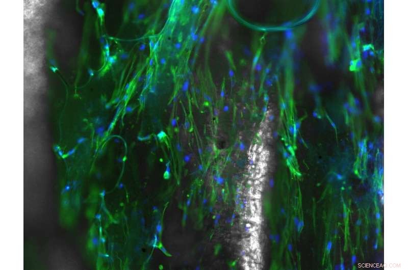 Engineers Develop the Core Building Block for Electrospun Nanofibers