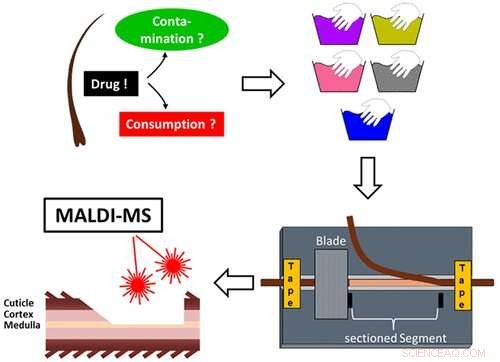 Unraveling Complex Forensic Hair Analysis Challenges