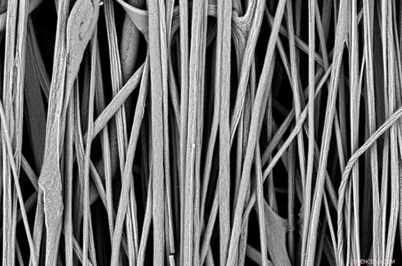 Innovative Starch Backbone Construction for Lab-Grown Meat Using Lego-Based Electrospinning