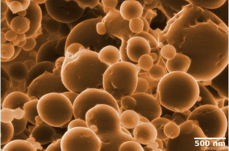 Closing the Knowledge Gap: Ethane Degradation Explained by New Research