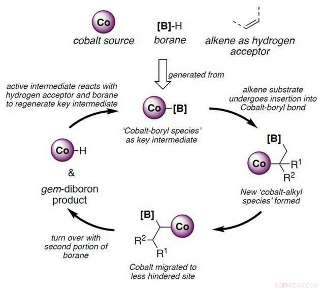 A Scalable, Cost‑Effective Method for Synthesizing Geminal Organodiboron Building Blocks