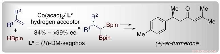 A Scalable, Cost‑Effective Method for Synthesizing Geminal Organodiboron Building Blocks