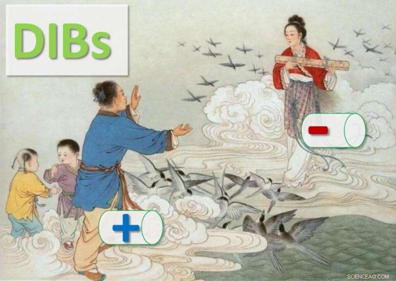 Dual‑Ion Batteries: The Synergy of Cations and Anions Explained