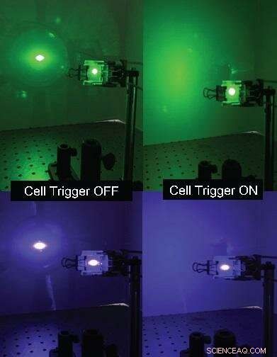 Liquid Crystals May Shield Aircraft from Laser Pointer Attacks