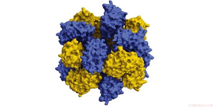 Harnessing Supercomputers to Accelerate Protein Self-Assembly