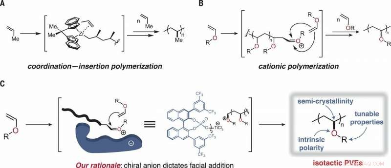 Harnessing Organocatalysts for Precise Stereocontrol in Polymerization