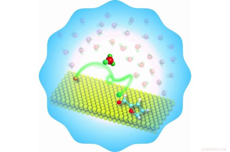 University of Oklahoma Engineers Reveal How Water Accelerates Renewable Fuel Production