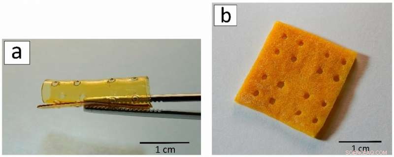 Scientists 3‑D Print Biocompatible Crab‑Shell Scaffolds to Repair Damaged Tissue