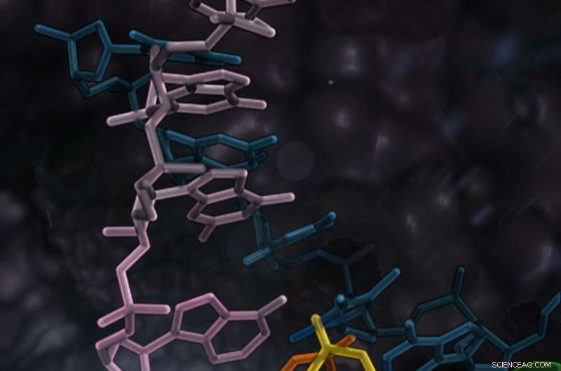 Scientists Reveal How RNA Polymerase II Ensures Accurate Transcription via Supercomputer Modeling