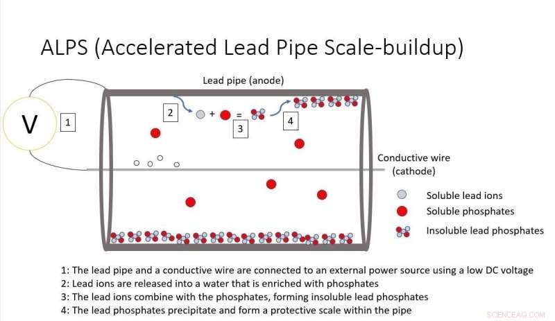 Transforming Lead Pipes into Safe Water Sources